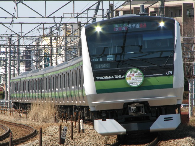 鎌倉車両センターE233系横クラH016編成を長津田～十日市場間で撮影した写真