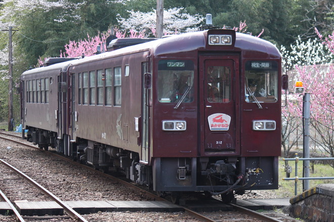 すわわ 31230)クラッチレリーズB/G トヨタ トヨタ純正品番先頭31 【通販