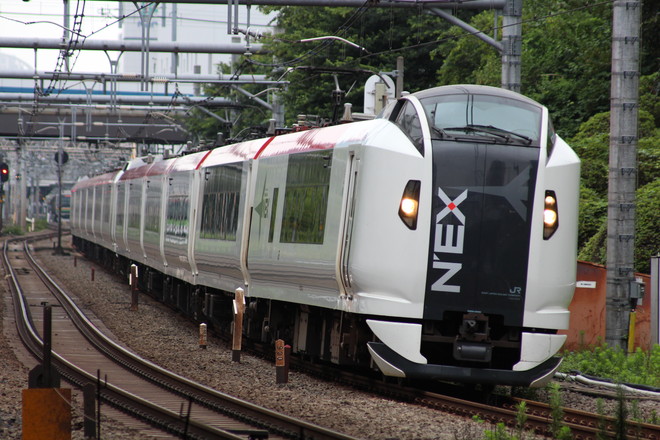 E259系Ne022編成を目白駅で撮影した写真