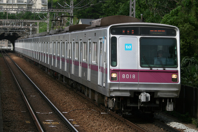8000系8118Fを田奈駅で撮影した写真