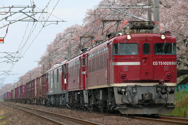 仙台総合鉄道部ED751020を大河原～船岡間で撮影した写真