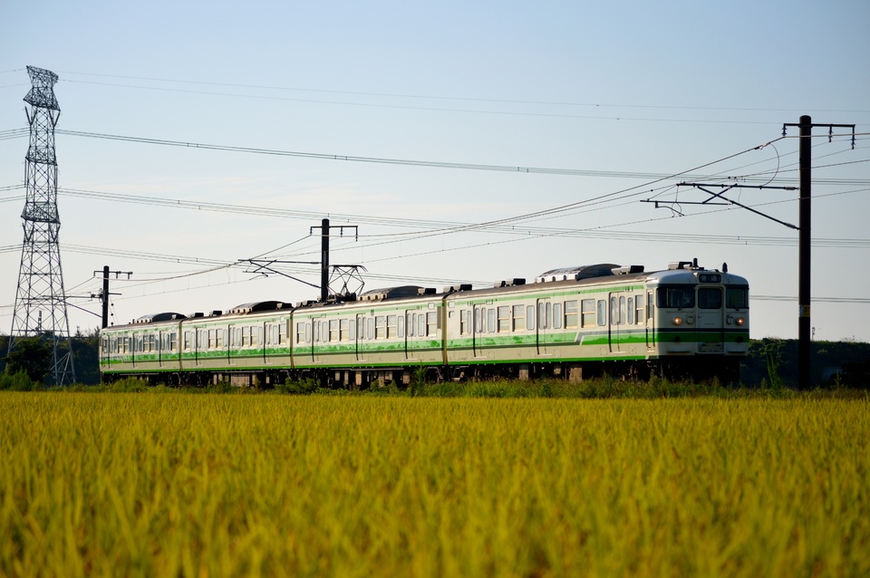 JR東115系ニイL10編成<br class="br-sp" />(ニイL10)の写真
