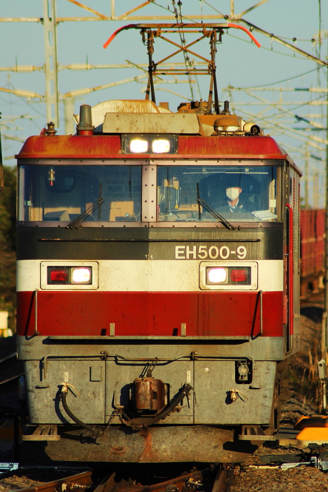 仙台総合鉄道部EH5009を藤代駅で撮影した写真
