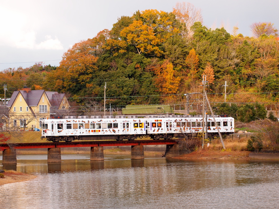 和歌山電鐵2270系2275F<br class="br-sp" />(2275編成)の写真