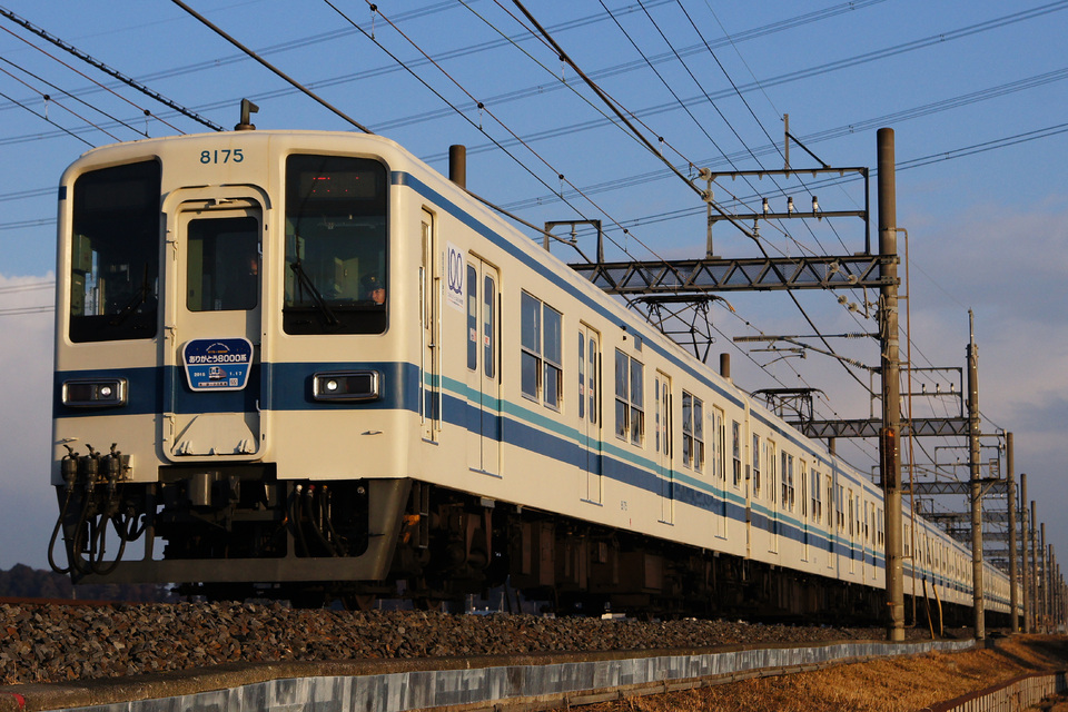 東武8000系8175F(8175編成)の編成データ、編成表、ニュース