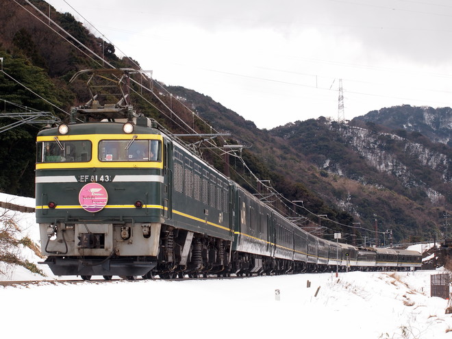 敦賀地域鉄道部EF8143号機を新疋田～敦賀間で撮影した写真