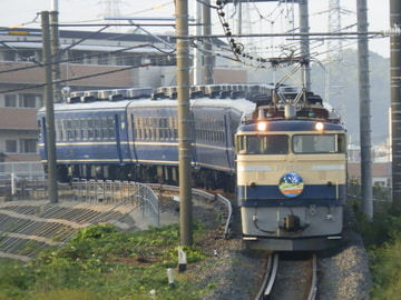 JR東日本  EF65型 501