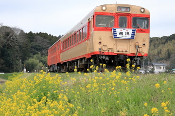 いすみ鉄道  キハ２８形 2346