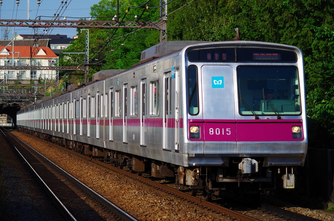 8000系8115Fを田奈駅で撮影した写真