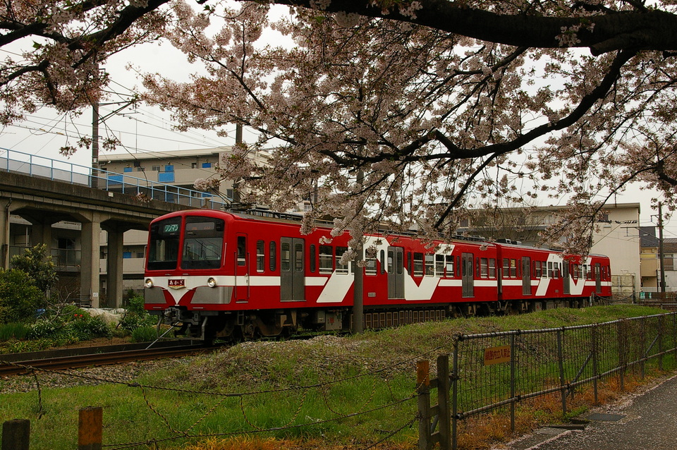 流鉄 5000系 5003Fの写真