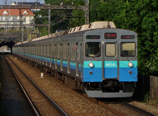 8500系8614Fを田奈駅で撮影した写真