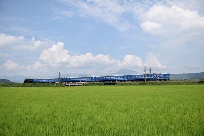 梅小路運転区 C56 160 の写真 鉄道写真投稿サイトTrainDirectory