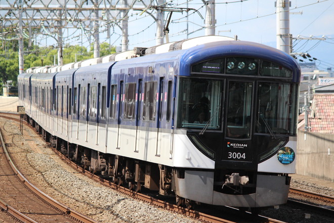 3000系3004Fを大和田駅で撮影した写真