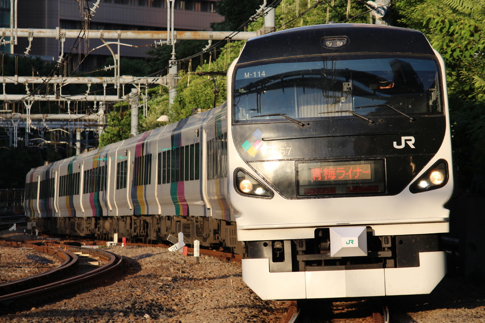 JR東E257系モトM-114編成<br class="br-sp" />(モトM-114)の写真