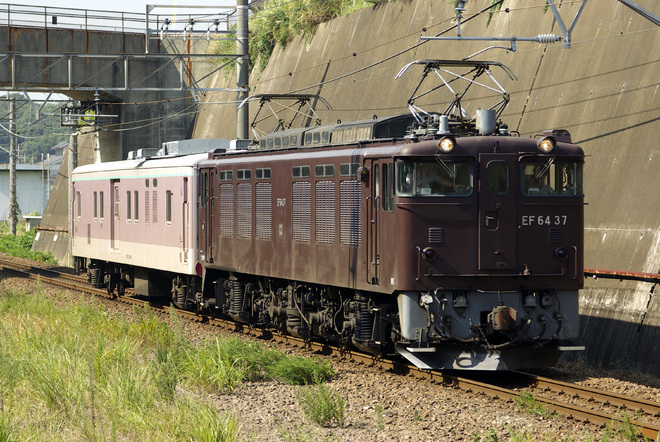 EF6437を船橋法典駅で撮影した写真