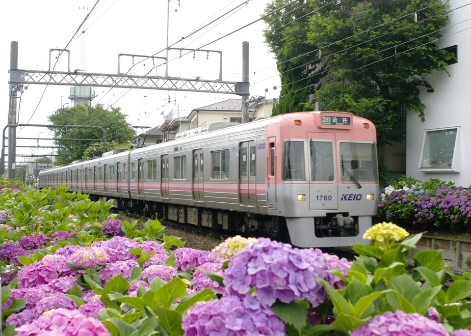 京王1760F<br class="br-sp" />(1760編成)(1710F)(1710編成)の写真
