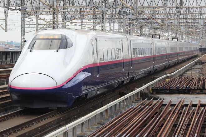 新幹線総合車両センターE2系J61編成を大宮駅で撮影した写真
