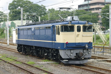 JR東日本 田端車両センター EF65 1104