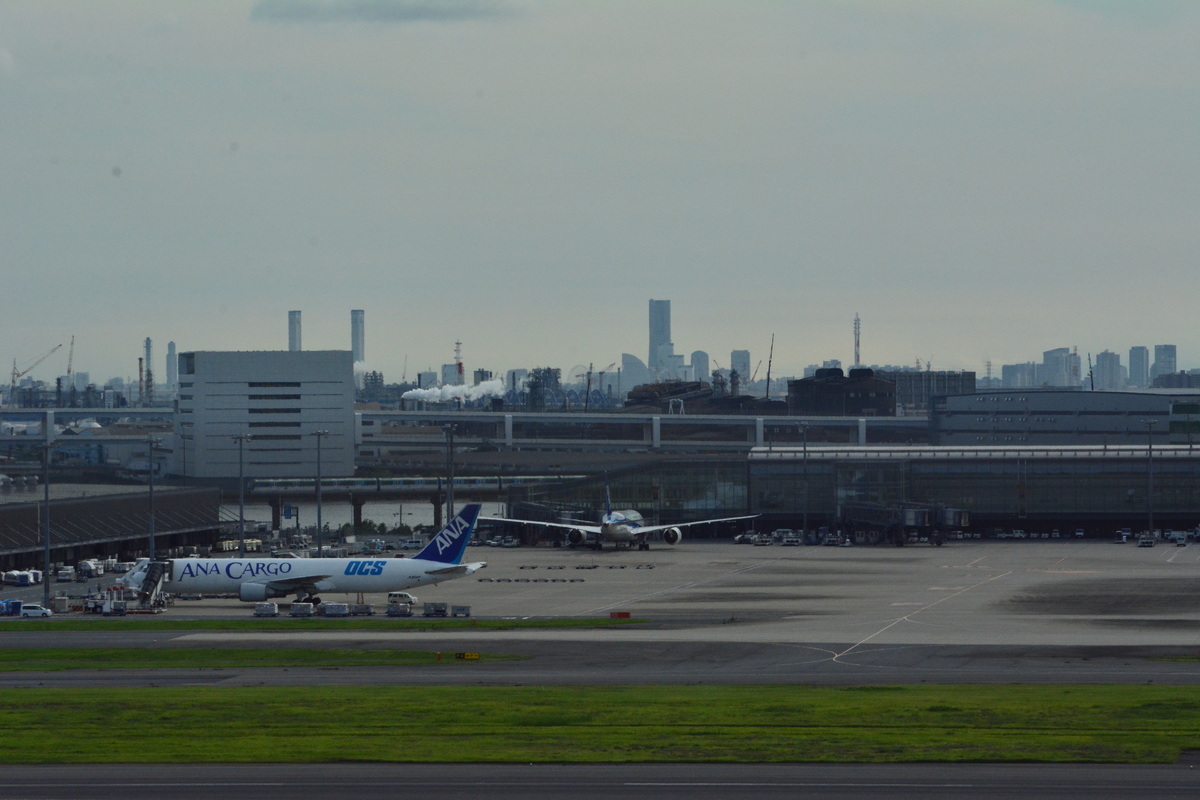 東京モノレール 昭和島車両基地 10000形 