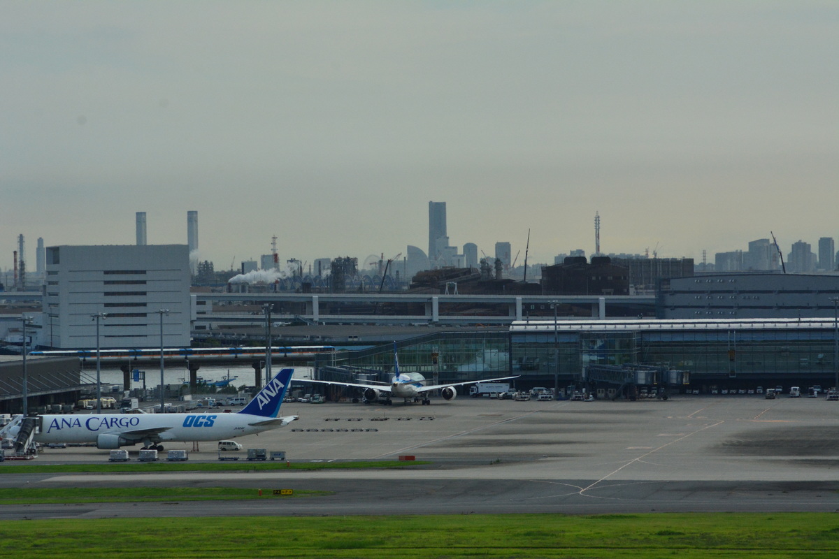 東京モノレール 昭和島車両基地 1000形 