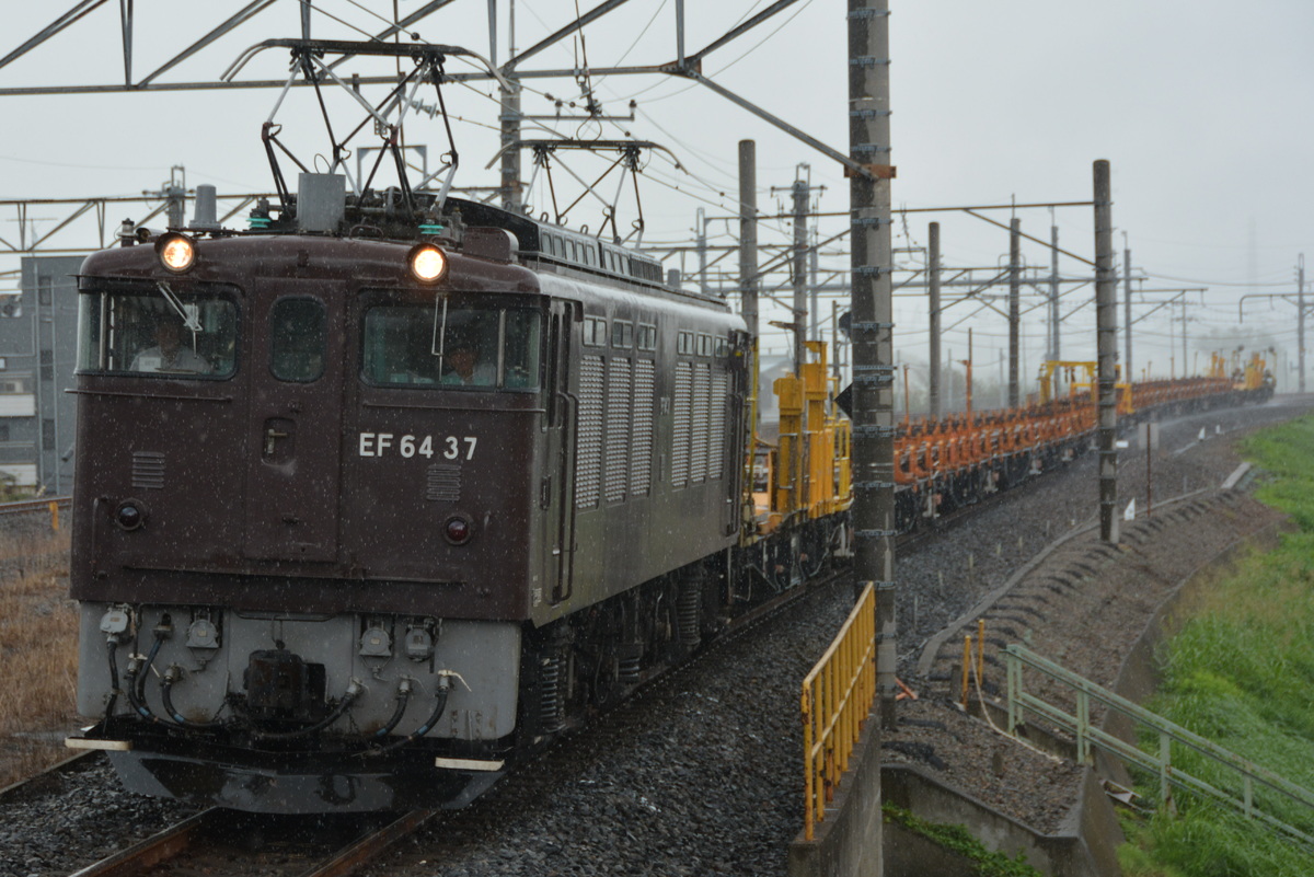 JR東日本 高崎機関区 EF64 37