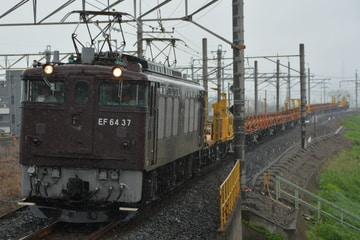 JR東日本 高崎機関区 EF64 37