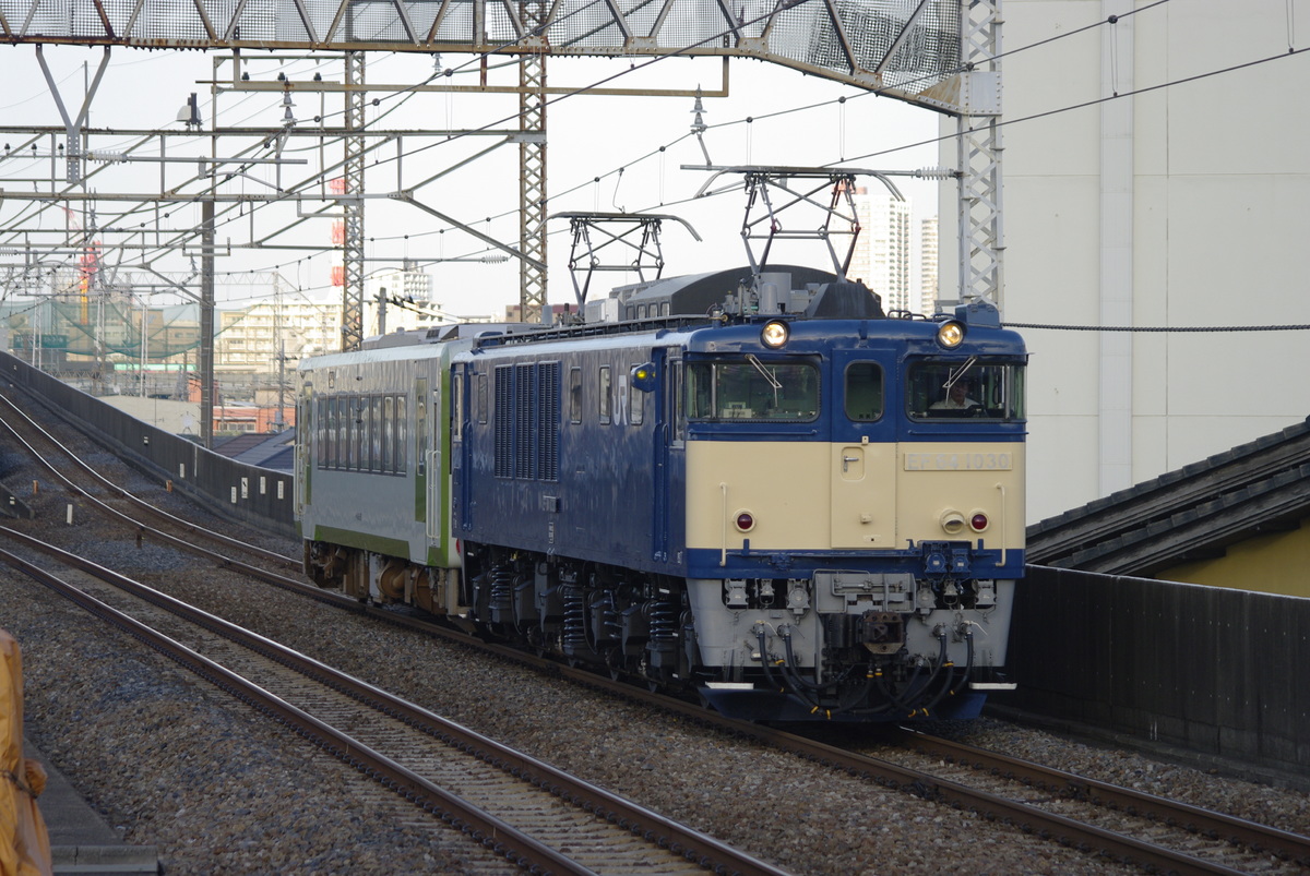 JR東日本 高崎車両センター高崎支所 EF64 1031