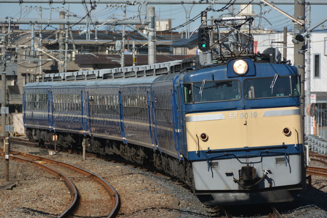 高崎車両センターEF6019を宮原駅で撮影した写真