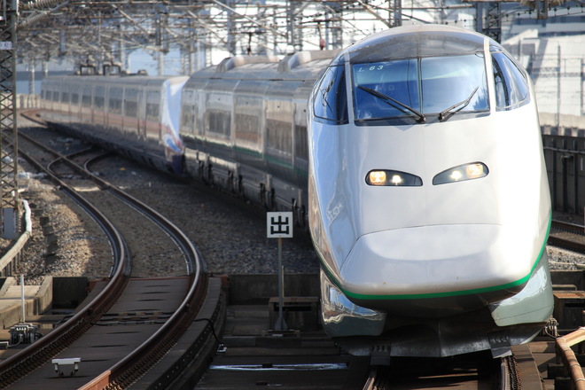 山形車両センターE3系L63編成を大宮駅で撮影した写真