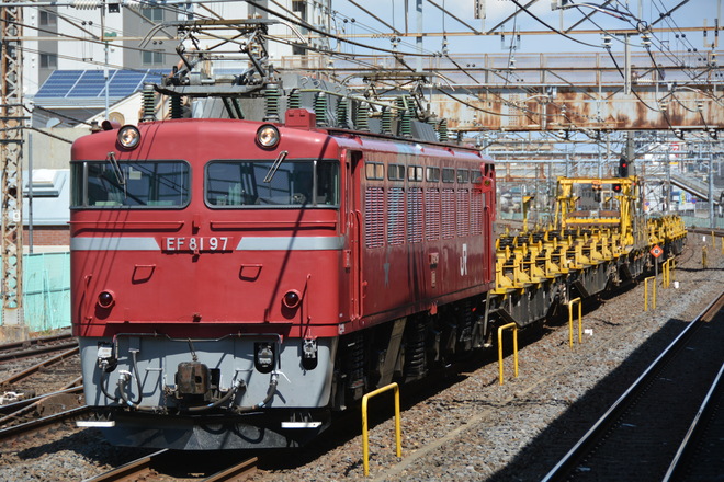 田端運転所EF81型97を北松戸駅で撮影した写真