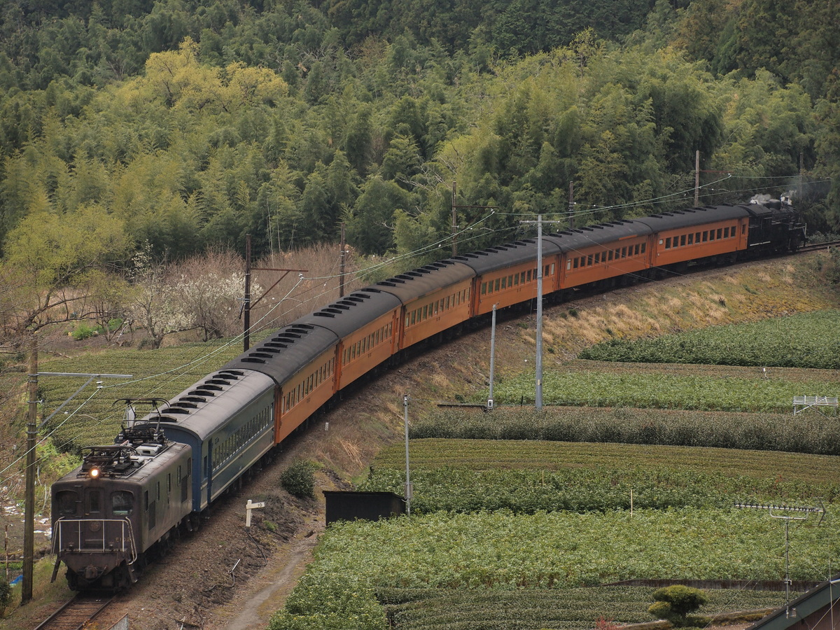 大井川鐵道  ED500形 