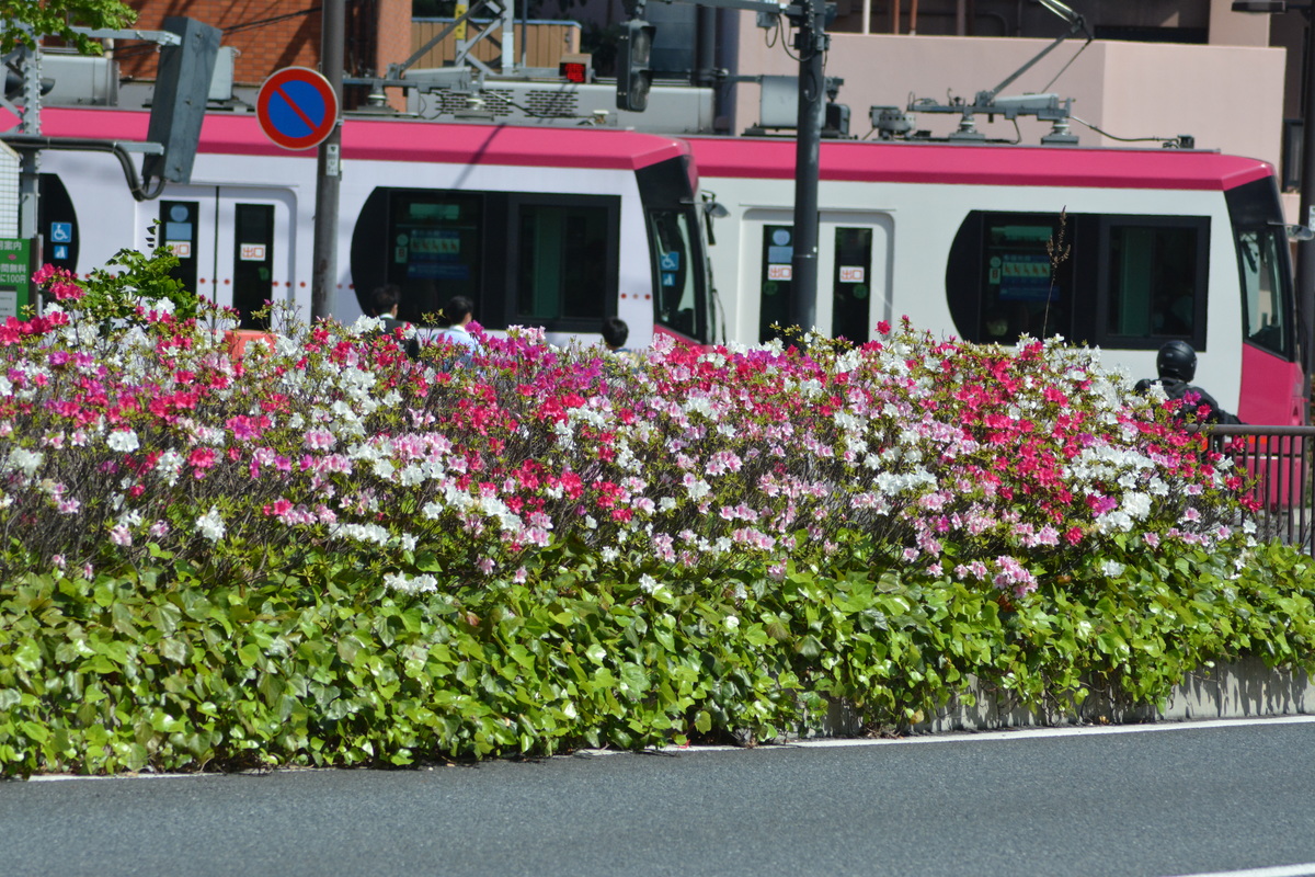 東京都交通局  8800系 