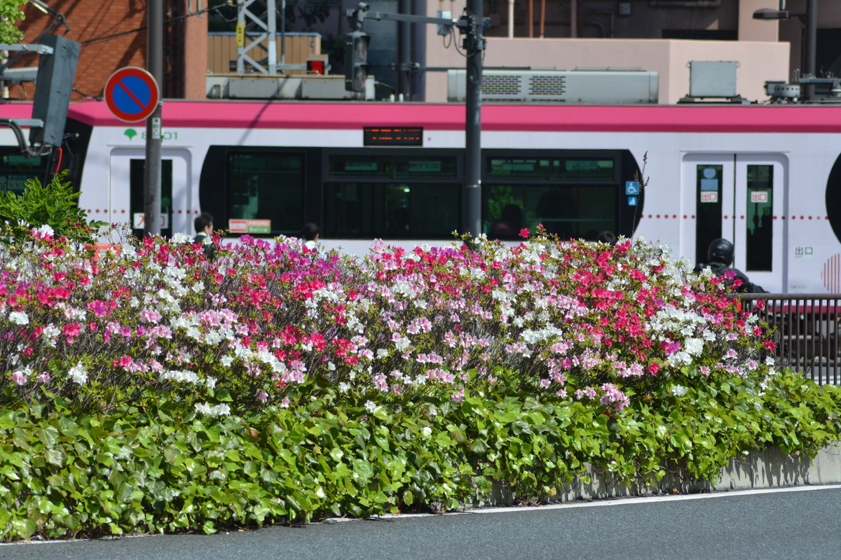 東京都交通局 荒川車庫 8800系 