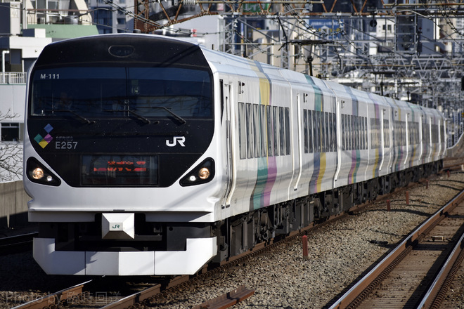 E257系M-111編成を阿佐ヶ谷駅で撮影した写真
