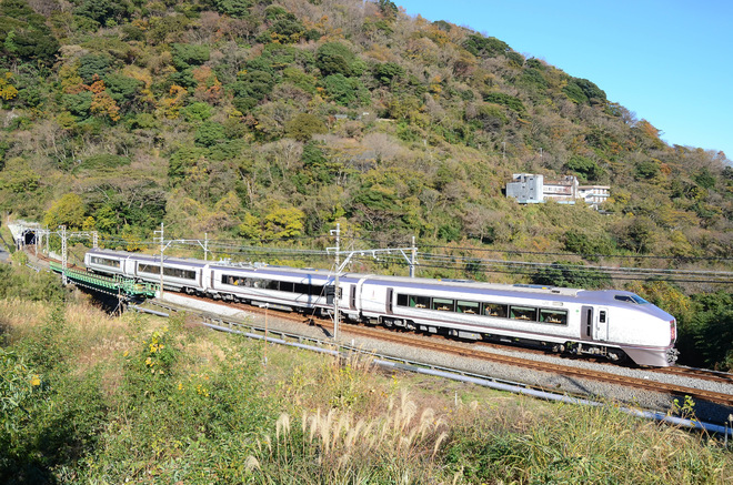 651系を伊豆大川駅で撮影した写真