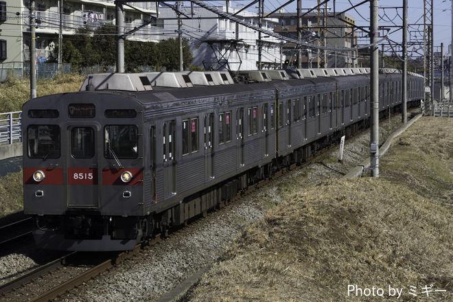 8500系8615Fを江田～市が尾間で撮影した写真