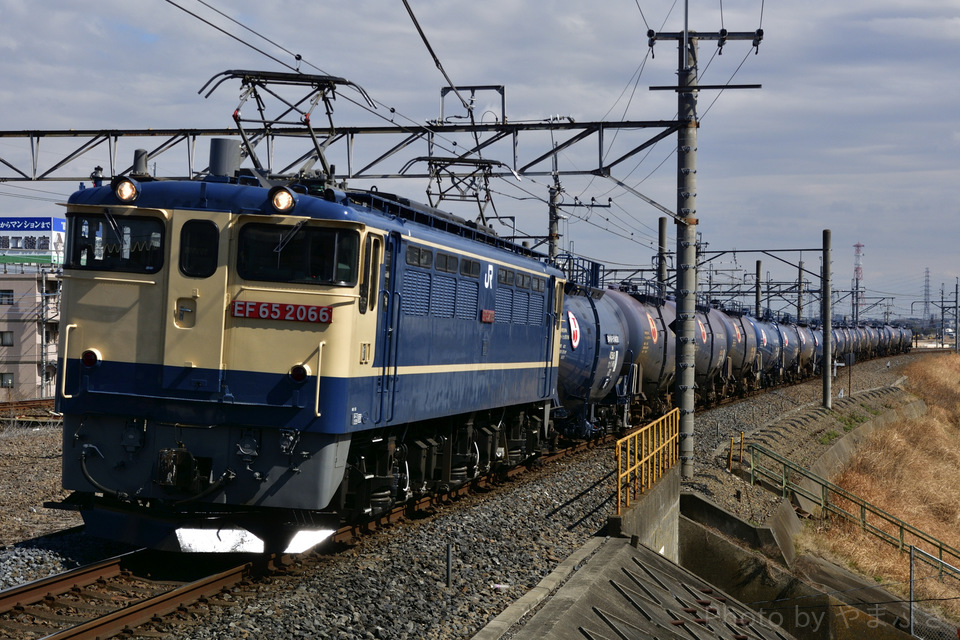 EF65他3種セット EF65他3種セット EF65他3種セット