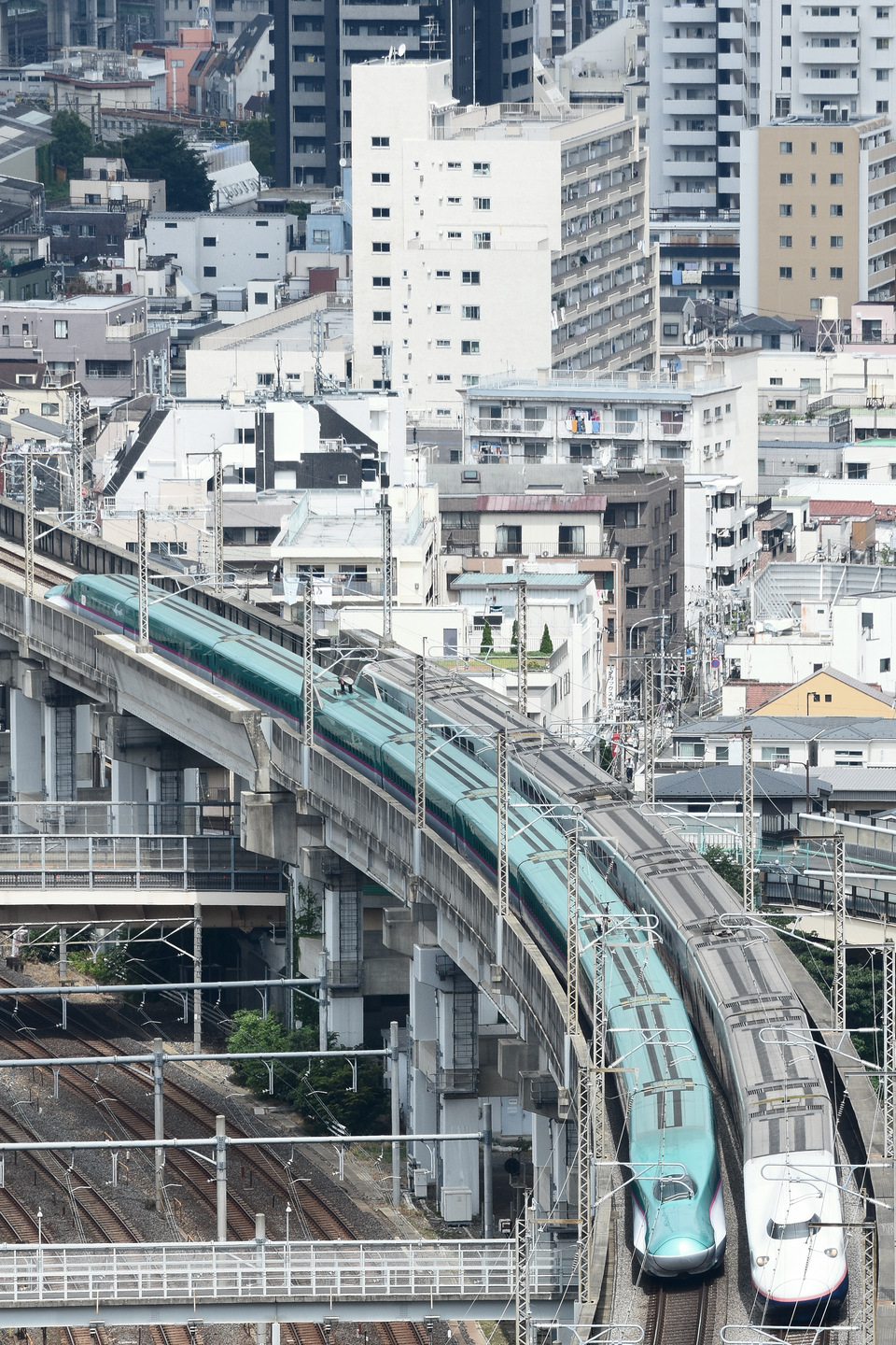 JR東E4系P82編成の写真