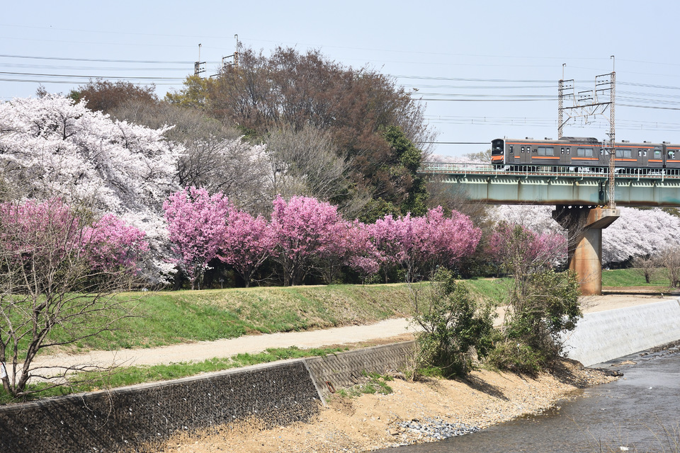 JR東205系センM9編成<br class="br-sp" />(M9編成)の写真