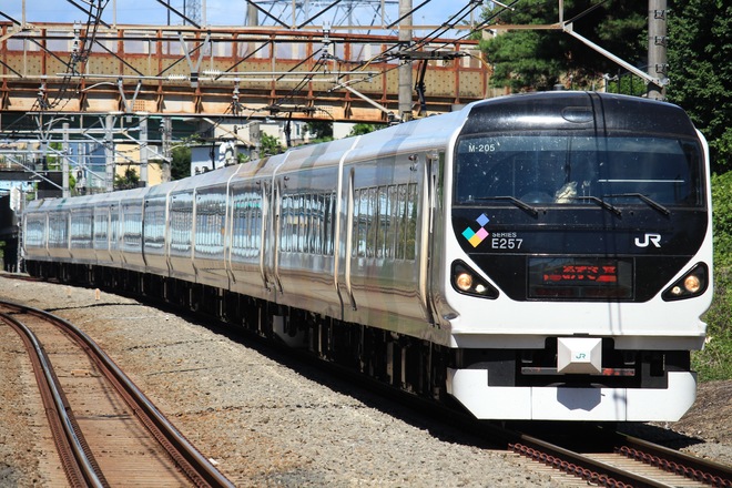 松本車両センターE257系モトM-205編成を西国分寺駅で撮影した写真