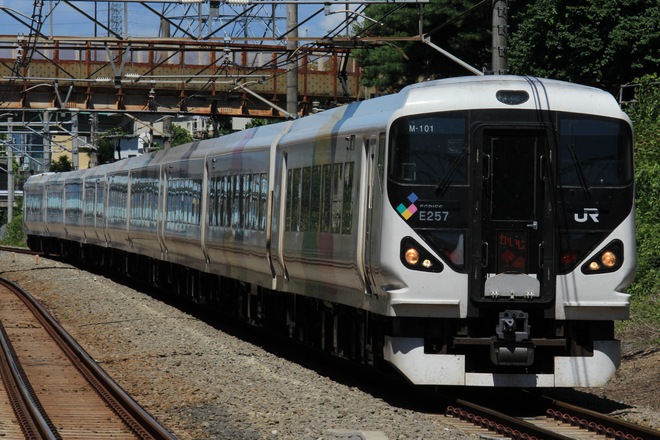 松本車両センターE257系モトM-101編成を西国分寺駅で撮影した写真