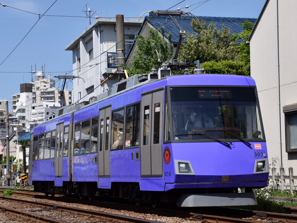 東急300系307F<br class="br-sp" />(307編成)の写真