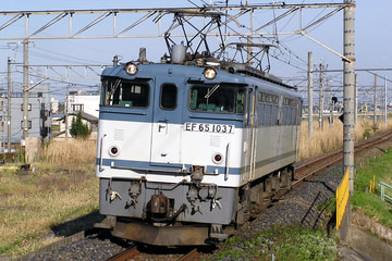 JR貨物  EF65 1037