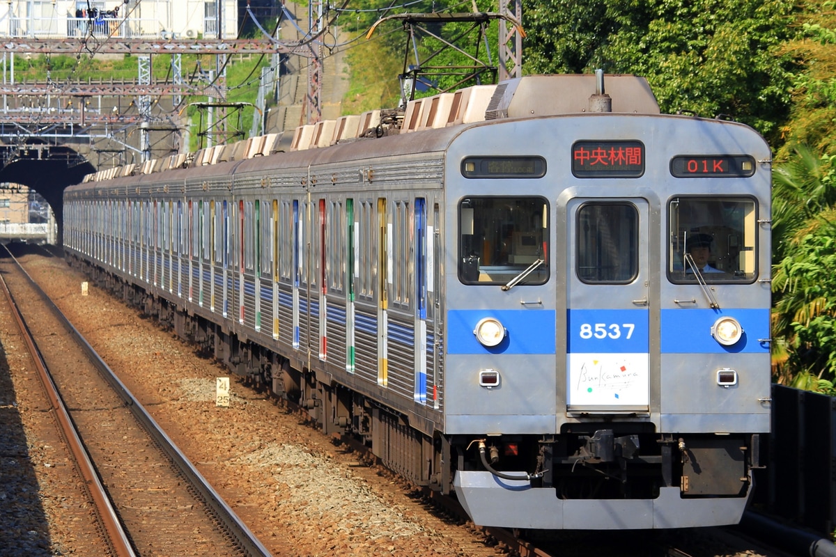 東急電鉄  8500系 8537F