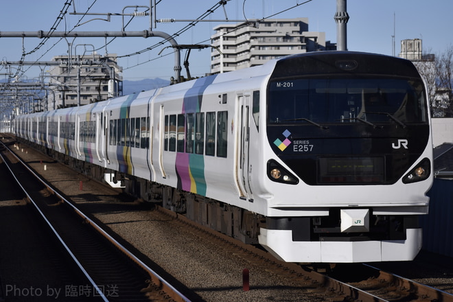 E257系M-201を武蔵境駅で撮影した写真