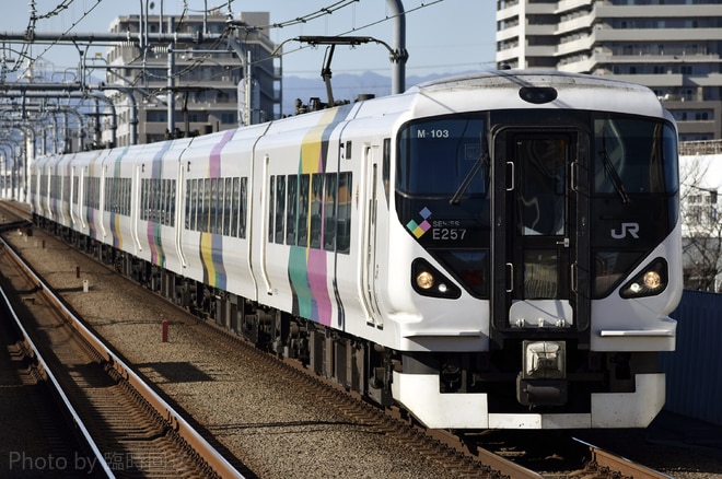 E257系M103を武蔵境駅で撮影した写真