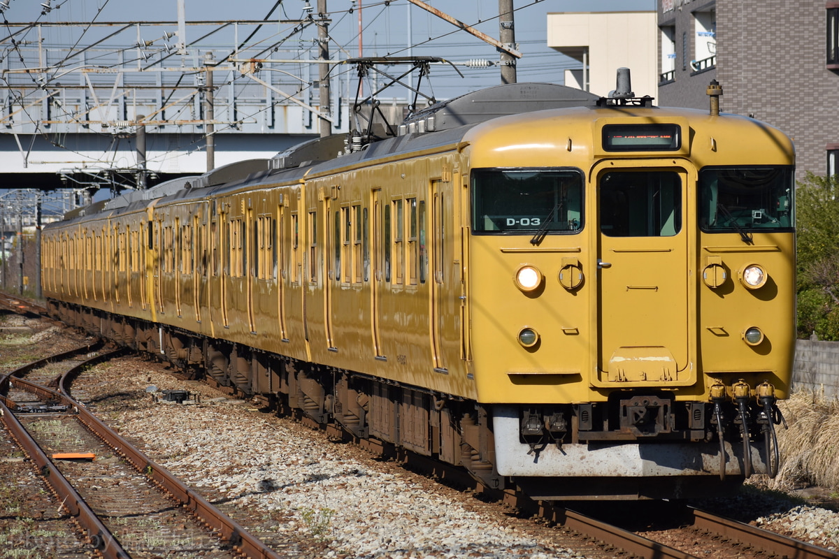 JR西日本  115系 D03