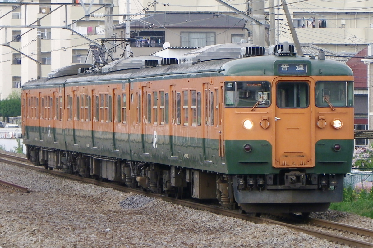 Train-Directory JR東日本115系の写真一覧