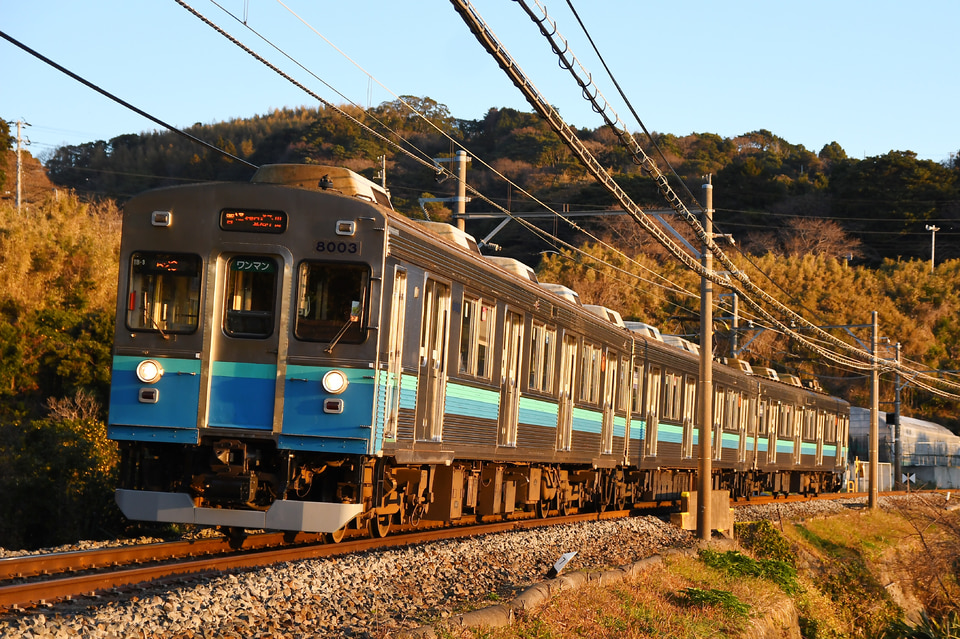 伊豆急行 8000系の写真
