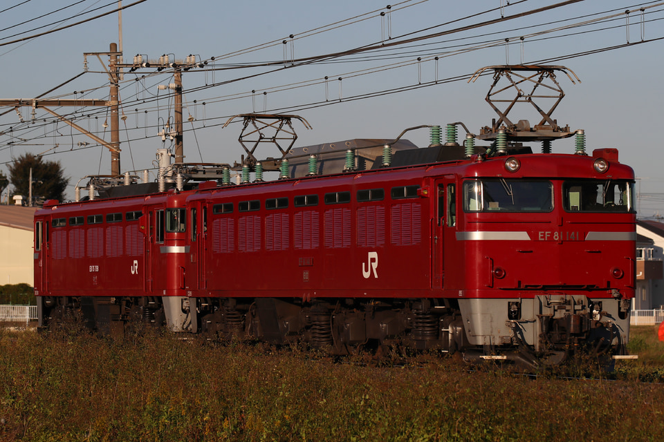 JR東日本 EF81 141の写真